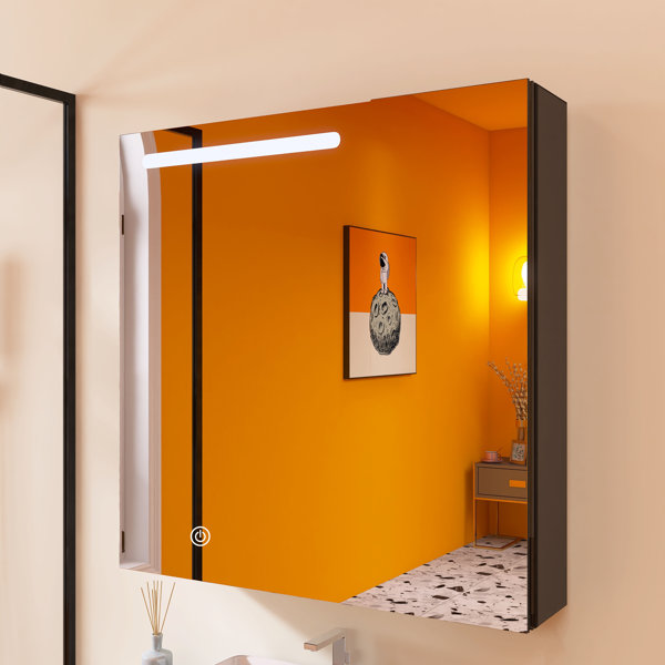 Aula 30'' W 30'' H Wall Mounted Frameless Medicine Mirror
